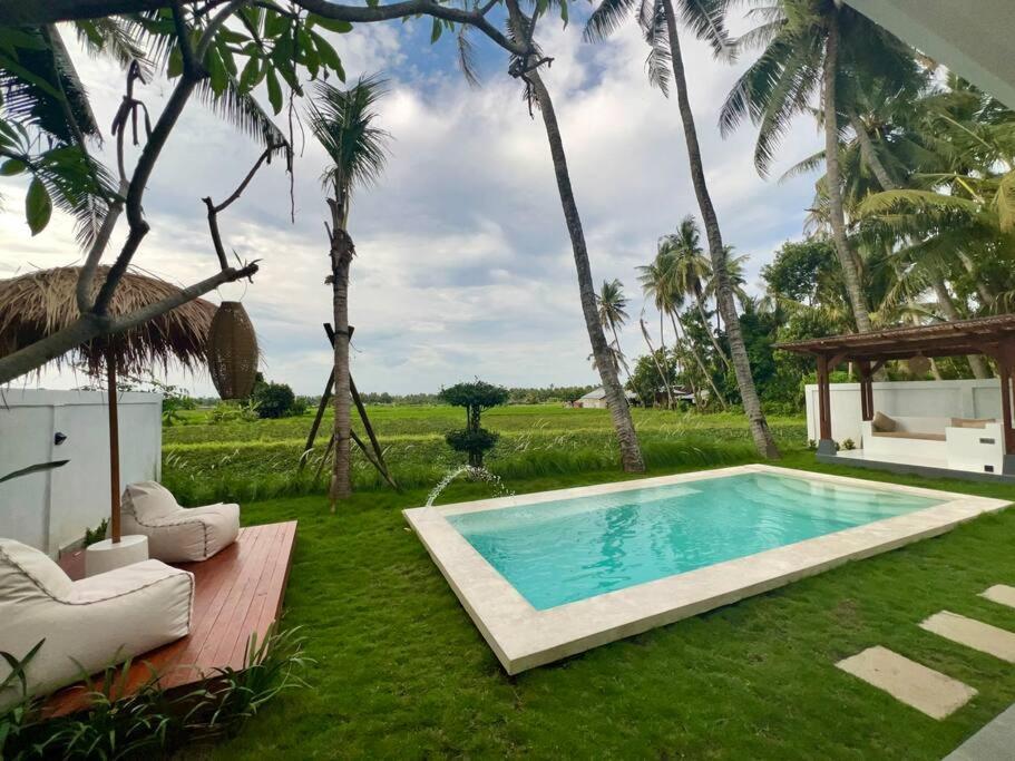 Padi-padi Pool *