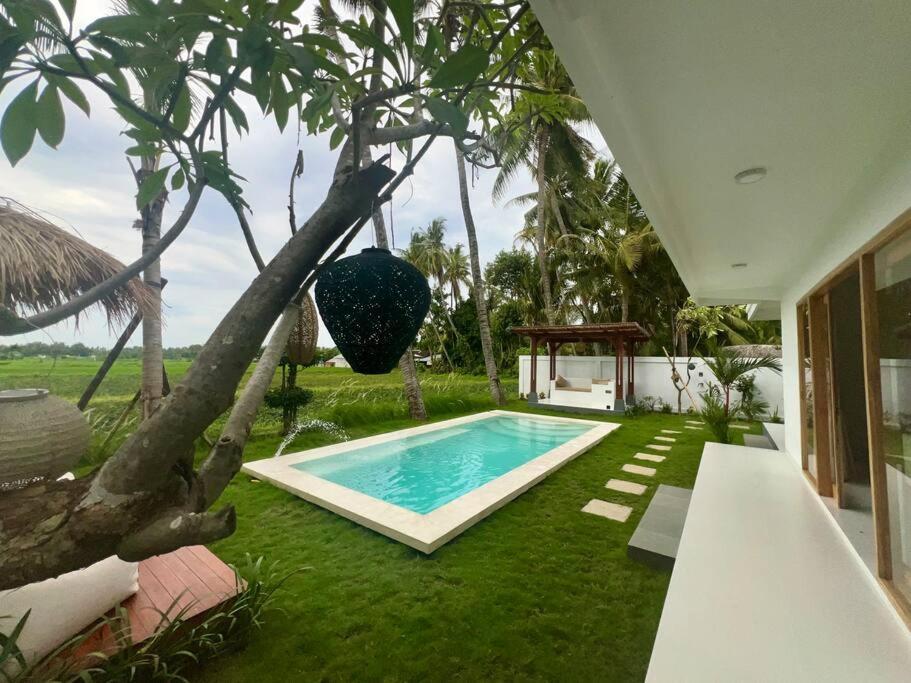 Padi-padi Pool Trunyan