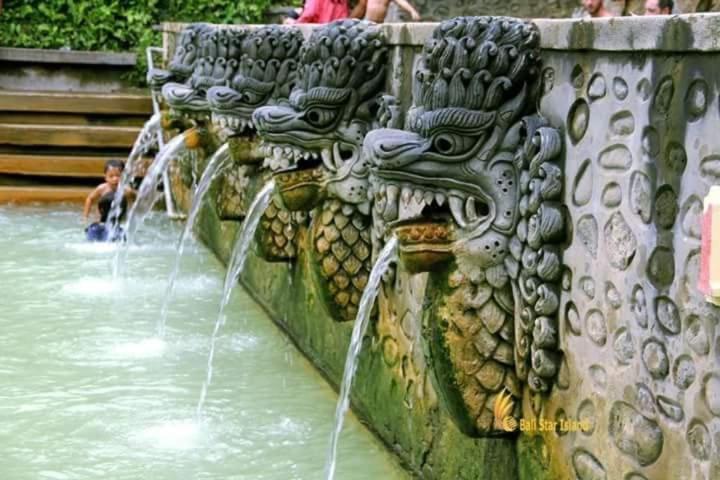 Villa Padi-padi Pool Trunyan