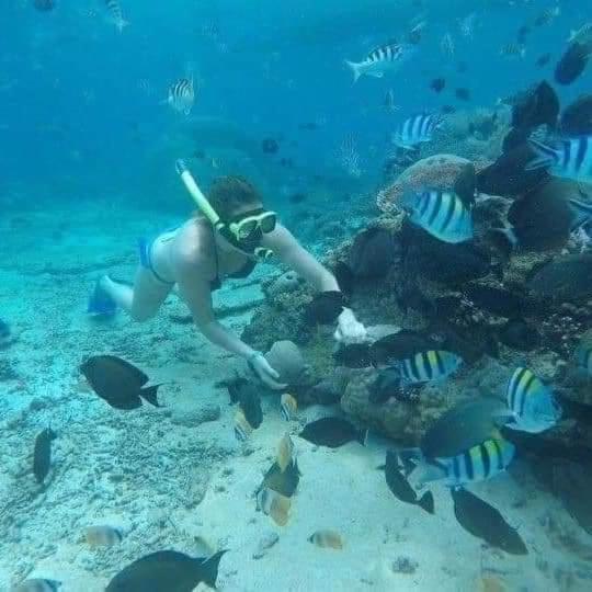 Padi-padi Pool Trunyan